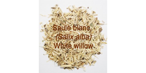 ORGANIC HERBAL TEA WHITE WILLOW BARK, (Salix alba)